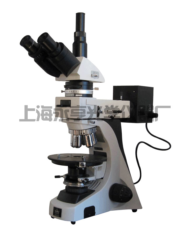 ƫ���@΢�R59XC