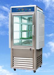 RXZϵ�������˹������