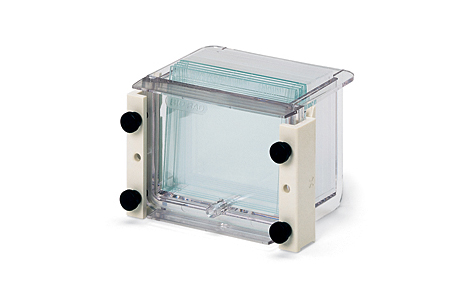 ����Mini-PROTEAN 3������z���z��