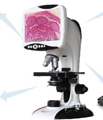 �๦�ܔ�(sh��)�aҺ���@΢�RTS2-�̌W���A(ch��)��