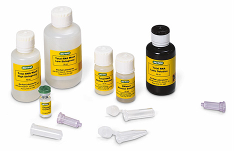 Aurum™ �� RNA С��ԇ����